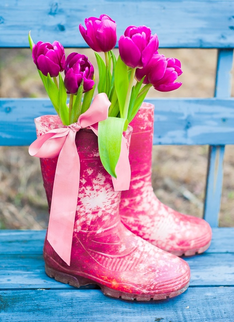 Flowers flowers  / poinsettia flowers